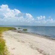 Team Page: West End Wild Ones